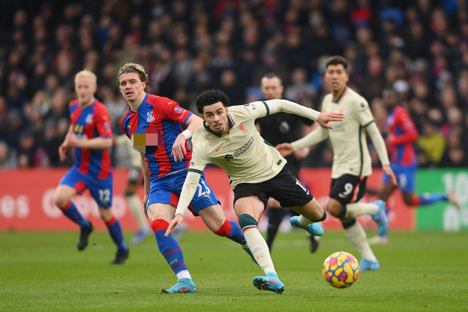 了博得媒体 了博得媒体