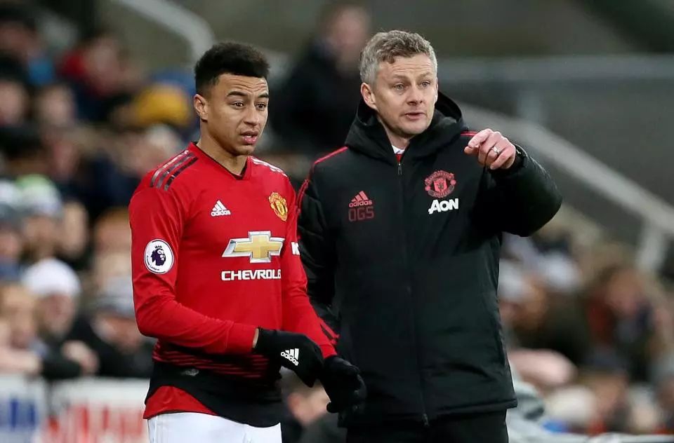 培养了他的 培养了他的